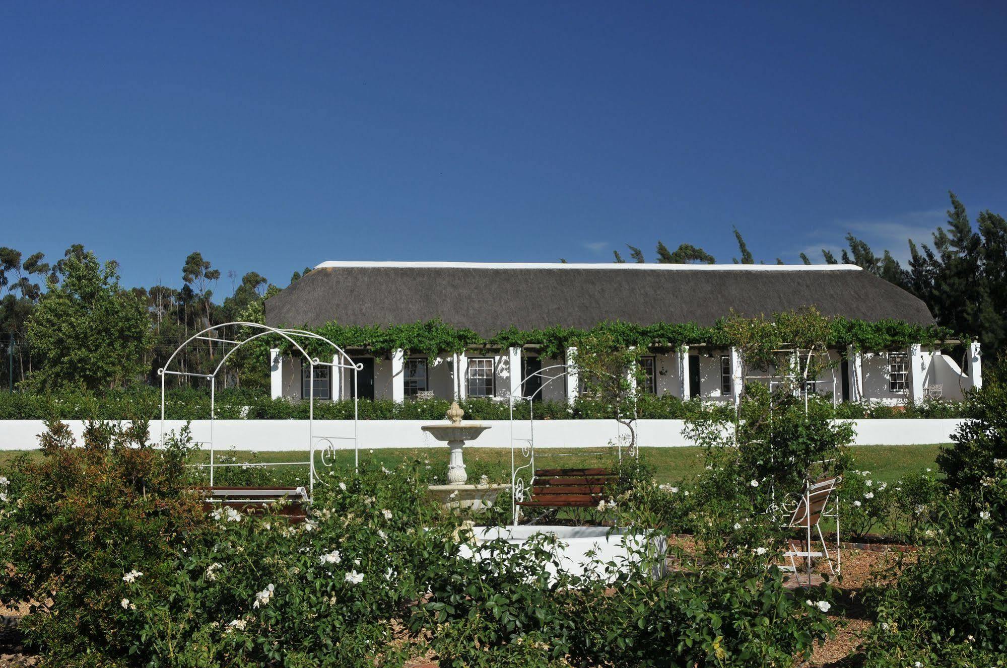 Rijk'S Guesthouse Тульбах Экстерьер фото